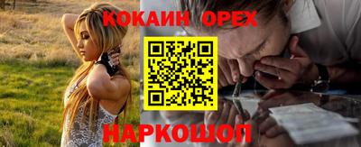 крисы Будённовск