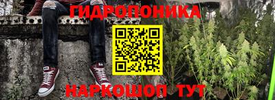 крисы Будённовск