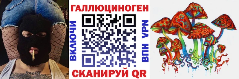 магазин  наркотиков  мега зеркало  Псилоцибиновые грибы Magic Shrooms  Губаха 